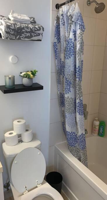 Comfort Two Beds Suite By Cn Tower Rogers Centre Plus Free Parking Toronto Eksteriør billede